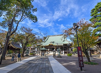 日蓮宗　本山　堀ノ内妙法寺