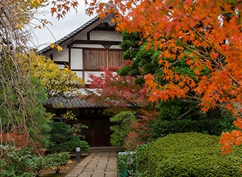 臨済宗大徳寺派　祥雲寺