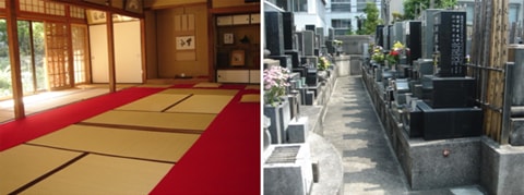 墓地探し